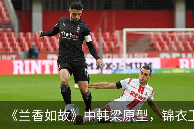 《兰香如故》中韩梁原型，锦衣卫抄家痛哭，刽子手皆自尽