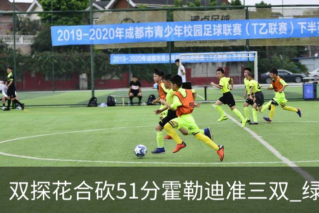 双探花合砍51分霍勒迪准三双 绿衫军轻取篮网