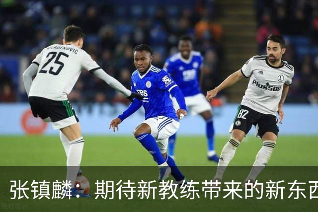 张镇麟：期待新教练带来的新东西 尽量去学习